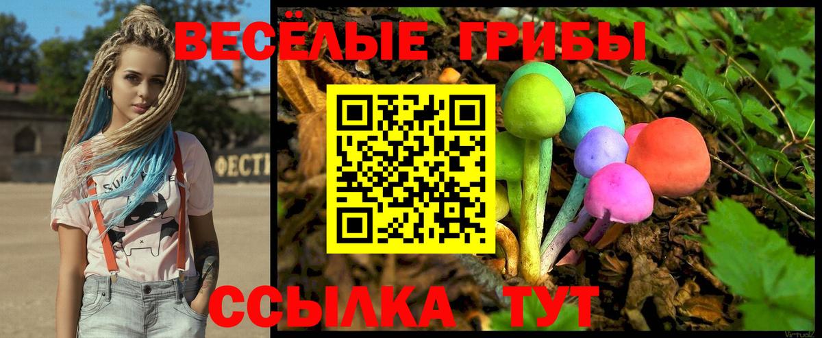 Галлюциногенные грибы MAGIC MUSHROOMS Холмск